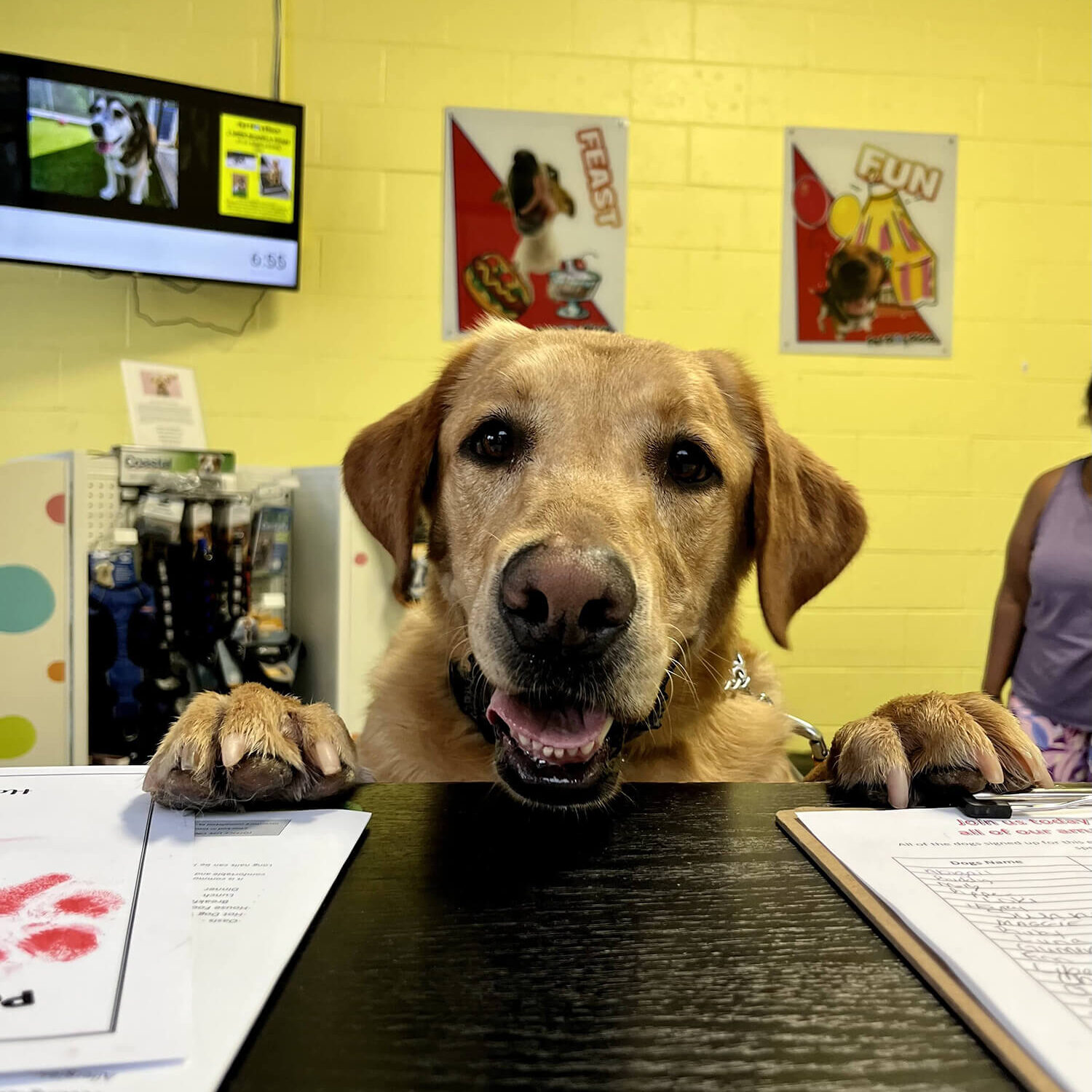 F8F5DCA8-5775-446F-AD15-24EF914FBAC0-2